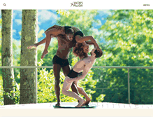Tablet Screenshot of jacobspillow.org